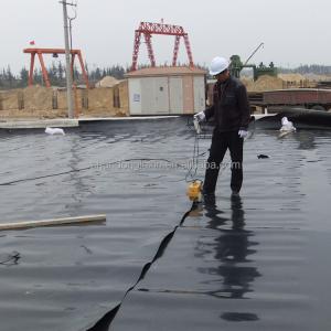 China Small Pond Liner Geomembrane 0.75mm 1mm HDPE Water Storage Polythene Sheet and After-sale Service factory