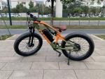 Mid Drive High Power Ebikes 1000w 48v 17Ah Hydraulic Disc Brake CYSUM M999