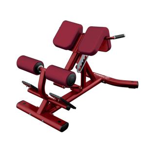 China Adjustable Roman Chair Back Extension Machine Physical Training Applied factory