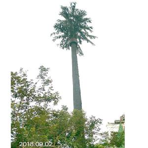 China Camouflaged Communication Antenna Tower Monopole 20 Meter High Mast ODM OEM factory