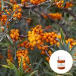 Pure Hippophae Rhamnoides Sea Buckthorn Berry Essential Oil Brownish Red