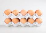 Good Quality Small Waste Paper Pulp Moulding Egg Tray Making Machine Price