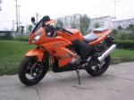Yamaha Honda Suzuzki Motorcycle Motorbile Motor 250cc Orange Drag Racing