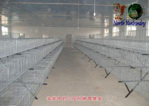 China poultry cage for large scale poultry feedcage factory