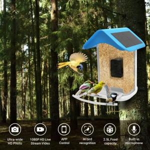 China Smart Bird Feeder with Camera, Bird Watching Camera Auto Capture Bird Videos &amp; Notify When Birds Detected, Bird Watching factory