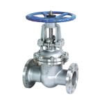 Manual PN16 Hand Wheel Flange Wedge Type Gate Valve Stainless Steel Non-Rising