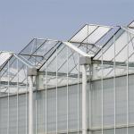 Customizable High Durability Multispan Greenhouse Rain Resistant