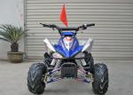 Front Drum Brake 110CC ATV Quad Bike Single Cylinder Electric Start Automatic