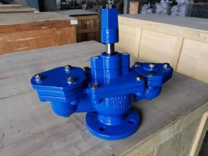 China Ductile Iron Double Orifice Air Valve For Water Pipeline PN16 factory