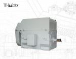 50Hz Squirrel Cage Motor with 100mm Shaft for Continuous 3000RPM Operation