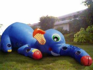 China Inflatable Animal Tunnel, Inflatable Elephant Trunk Tunnel Games factory