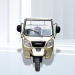 Front Drum Rear Drum Brake System 250cc Petrol Cargo Tricycle for Elderly and