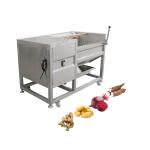 User-Friendly Automatic Carrot Brush Wash Equipment Sugar Cane Washing Peeling
