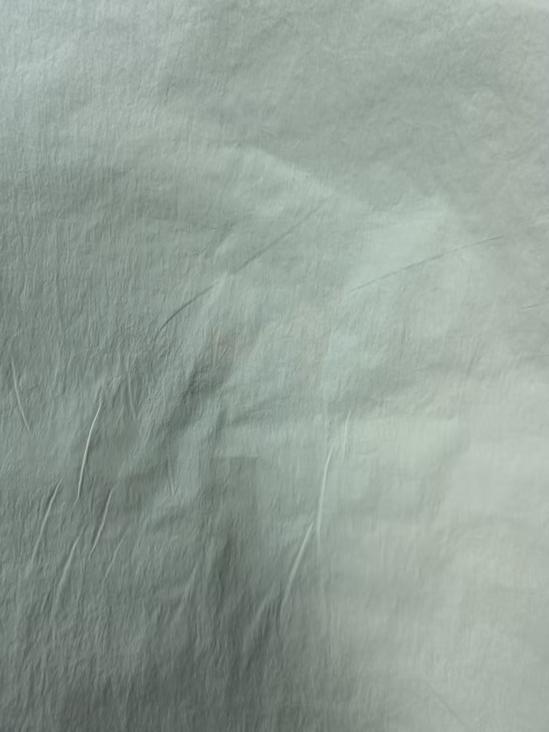 40D*40D 100%N 90GSM Nylon Fabric