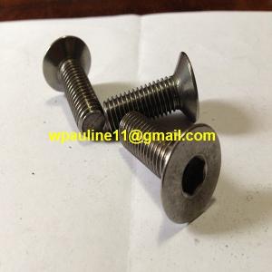 China 317L countersunk head socket screws din7991 factory