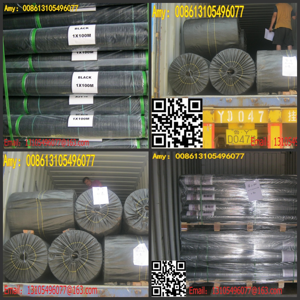 weed barrier ground cover weed mat.jpg