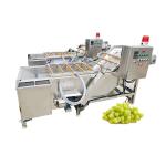 Smart Custom Washing Machine Indian