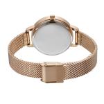 Steel Band High End Quartz Watches Ladies With Starry Sky Dial And Mesh Strap