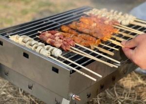 China Galvanized Wire Roast Fish Metal Mesh For BBQ Grill Camping Fire Pit Grill Velp factory