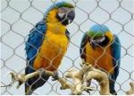 1.5" × 1.5" Opening Stainless Steel Aviary Netting Light Weight Aisi 304