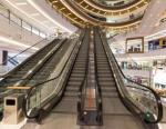 OEM 1000mm Step Moving Walk Escalator 30 Degree High Speed