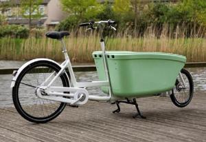 China Rotational Molda Cargo Bike Rotated Molding Freight Bicycle Product Section Housing factory
