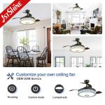 42 Inch Multifunctional Music Hidden Blades Ceiling Fan Light Lighting Solutions