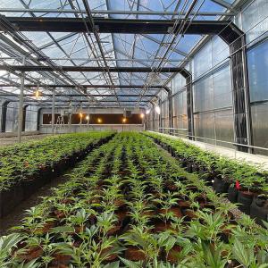 China LED Light Deprivation Greenhouse With Shading And Security System factory