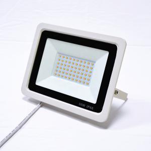 China 50w 100w Driverless LED SMD Flood Light SMD2835 IP66 Waterproof factory