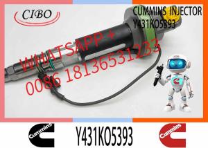 China Fuel Injector Assembly 2867147 2882077 4955524 Y431KO5393 2882078For Qsk19 Engine factory