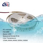 3- Waterproof Full PU Glue Colorful 120LEDS IP65 SMD2835 LED Strip 12/24V 8mm