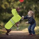 Reflective Dog Raincoat - Adjustable Waterproof Raincoat for Dogs, Lightweight