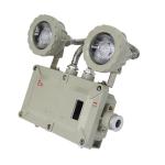 3W 5W Explosion Proof Emergency Light Twin Spot Led Emergency Lamp