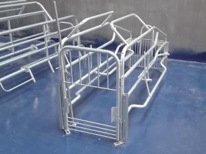 China Steel Farrowing crate with galvanized steel materials customized size factory