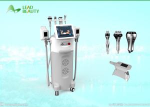 China best selling Multifunctional Cryo lipolysis slimming machine factory