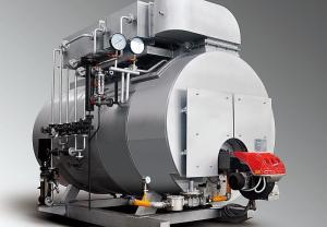 China Flame Tube Biomass Fired Steam Boiler Fully Burning Corrugated Eco Friendly factory