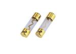 Car Auto Vehicle Audio Amplifier Stereo S Shape Element Glass Tube AGU 10x38mm