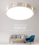 2018 new fashion simple modern indoor ceiling lamp