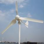 10Kw Off Grid Wind Power Hybrid Generation System with 230VAC/380VAC Output