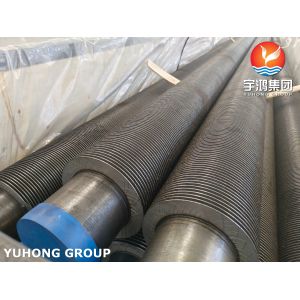 China HEAT EXCHANGER FINNED TUBE ASTM A312 TP304 / 304L / TP316L L FIN TYPE on sale