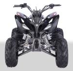 223mL Capacity 250cc Atv Quad