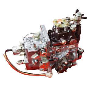 China R232XS65 DELPHI Diesel Fuel Injection Pump High Pressure Direct Injection 729974-51400 factory