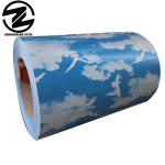 Full Hard PPGI Coils Color Coated Steel Coil Ral Color 0.4mm 0.5mm Thickness