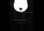 Efficient Energy Saving Glare Free Lighting LED Balloon Portable Worked High