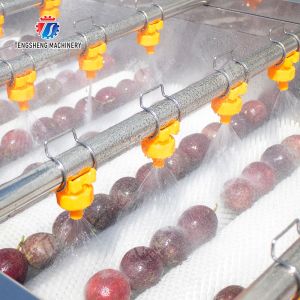 Revolutionize Your Production Process with Our Fruit And Vegetable Processing