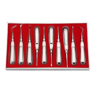 China 10pcs Dental Elevator Kit Dentist Surgical Tools Stainless Steel Dental Root Elevator factory