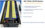 Smart CANBUS RS485 Lithium Forklift 48V 51.2V 200Ah LiFePO4 LFP Battery