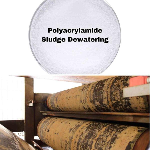 CPAM Polyacrylamide Dewatering Chemical Treatment Of Wastewater Sludge