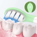 3 Cleaning Modes Pressure Sensing Children Childrens Sonic Toothbrush IPX7 BS51