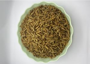 China 1 Year Shelf Life Freeze wholesale Dried Mealworms factory